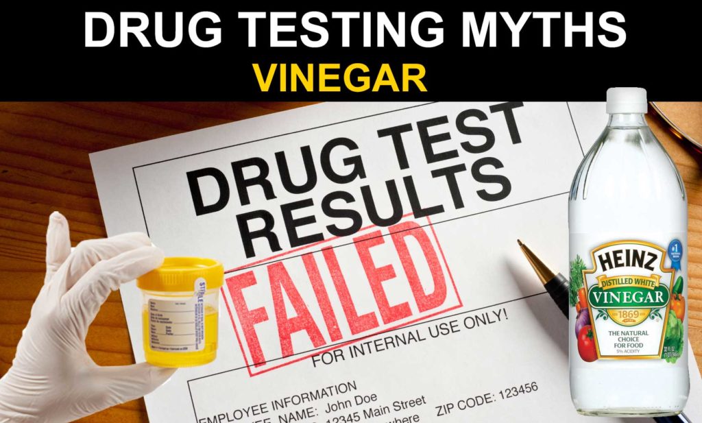 PASS A DRUG TEST VINEGAR