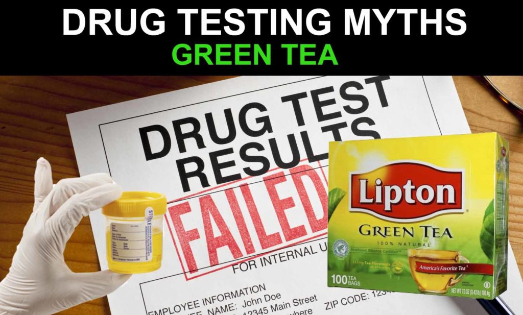PASS DRUG TEST GREEN TEA