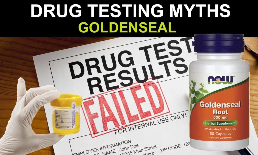 PASS DRUG TEST GOLDENSEAL
