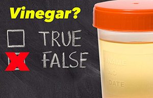 Using Vinegar To Pass A Drug Test For Weed
