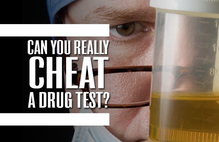 cheat a drug test