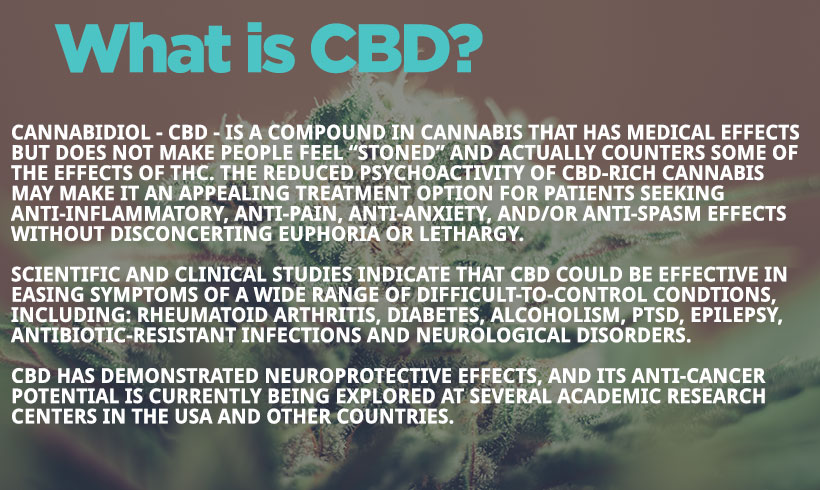 what is cbd oil