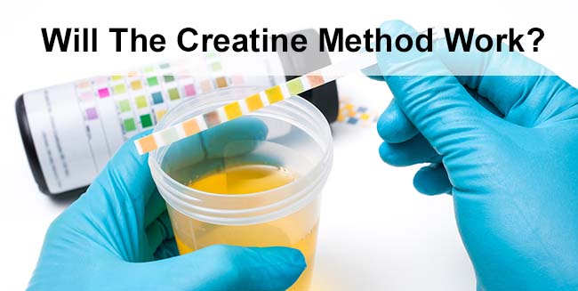 will using creatine work drug test