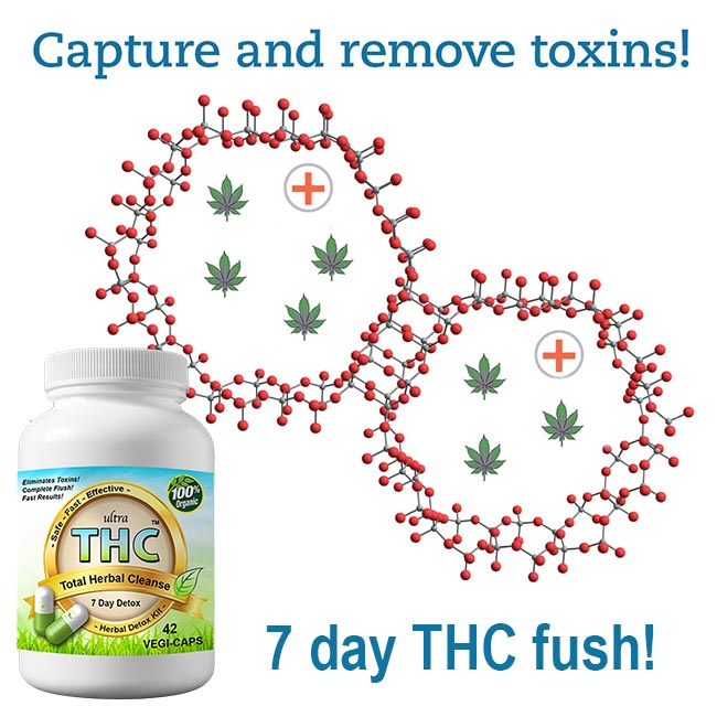 Pass Drug Test With Ultra THC Magic Detox™ Full THC Detox Kit Cleanse!:  Pass Drug Test! Magic Detox™ Full Body THC Detox Kit