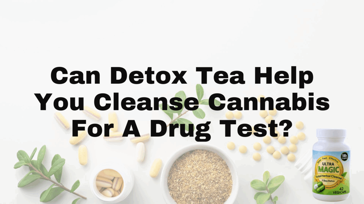 Can Detox Tea Help You Cleanse Cannabis For A Drug Test?
