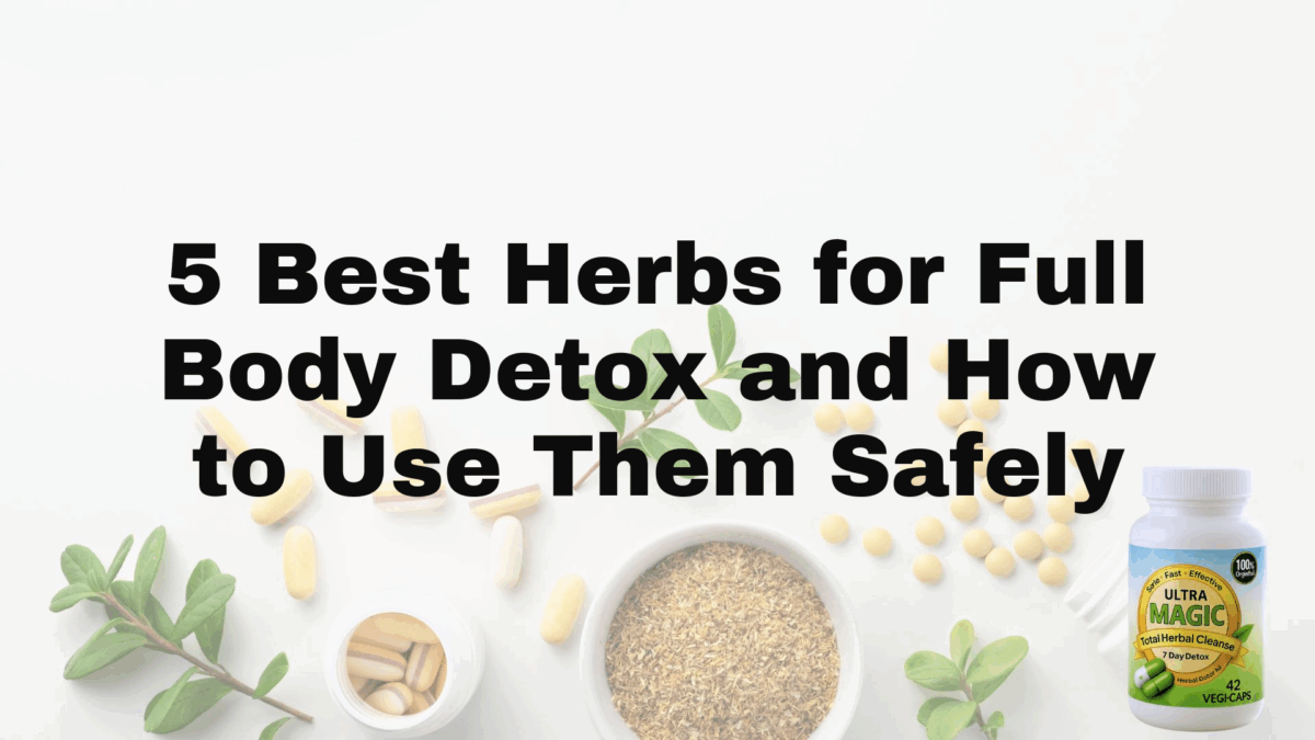 5 Best Herbs for Full Body Detox and How to Use Them Safely