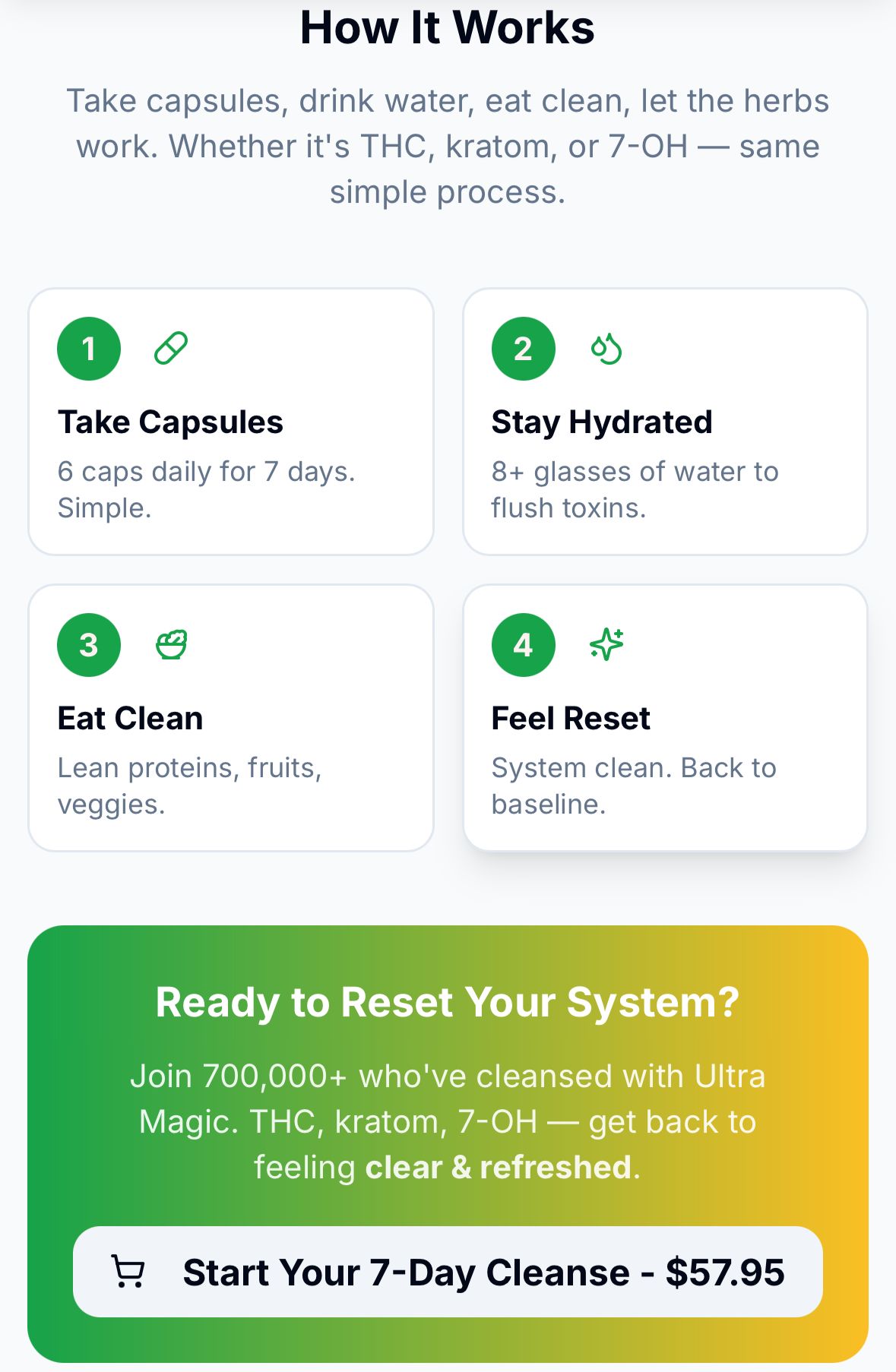 how magic detox works